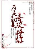 为夫是什么意思是什么