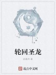 轮回的圣域多少层